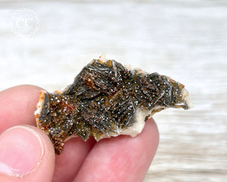 Vanadinite on Black Baryte #16
