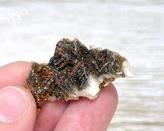 Vanadinite on Black Baryte #16