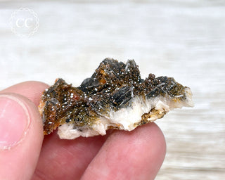 Vanadinite on Black Baryte #16