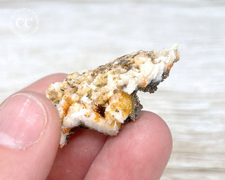 Vanadinite on Black Baryte #16
