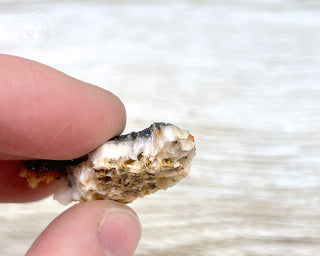 Vanadinite on Black Baryte #16