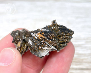 Vanadinite on Black Baryte #17
