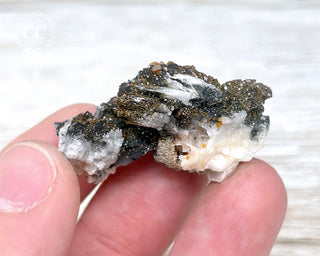 Vanadinite on Black Baryte #17