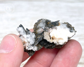 Vanadinite on Black Baryte #17