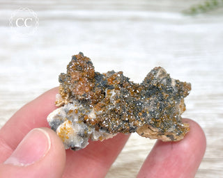 Vanadinite on Black Baryte #1