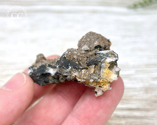 Vanadinite on Black Baryte #2