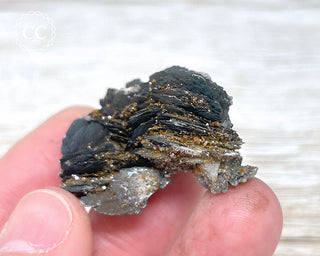 Vanadinite on Black Baryte #18