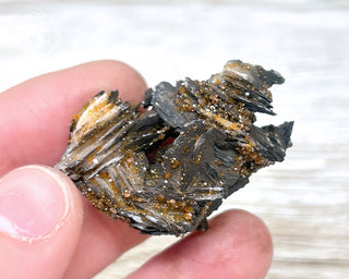 Vanadinite on Black Baryte #19