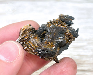 Vanadinite on Black Baryte #19