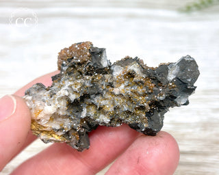 Vanadinite on Black Baryte #2