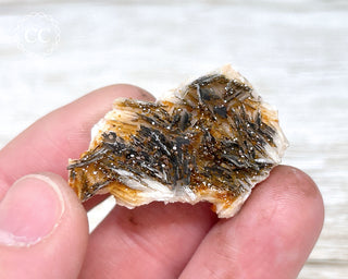 Vanadinite on Black Baryte #20