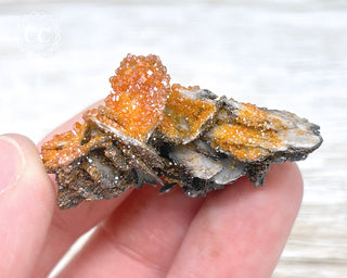 Vanadinite on Black Baryte #21