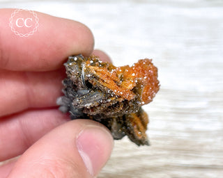 Vanadinite on Black Baryte #21