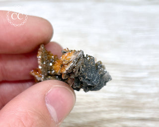 Vanadinite on Black Baryte #21
