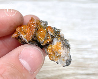 Vanadinite on Black Baryte #21