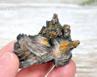 Vanadinite on Black Baryte #3