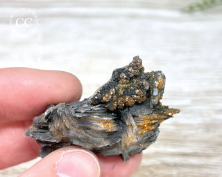 Vanadinite on Black Baryte #3