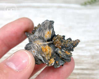 Vanadinite on Black Baryte #3