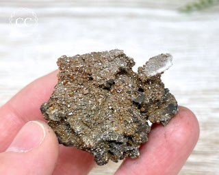 Vanadinite on Black Baryte #5
