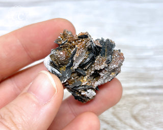 Vanadinite on Black Baryte #13