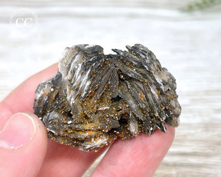 Vanadinite on Black Baryte #6