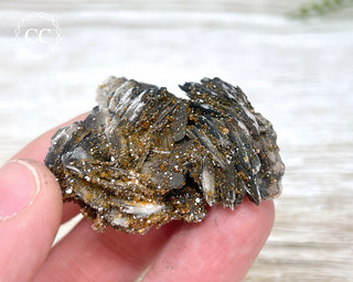 Vanadinite on Black Baryte #6