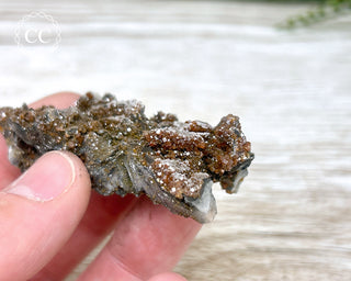 Vanadinite on Black Baryte #7