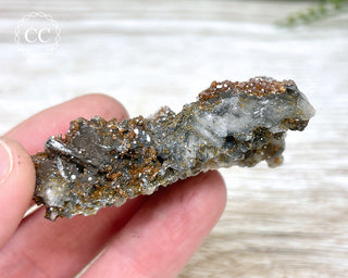 Vanadinite on Black Baryte #7