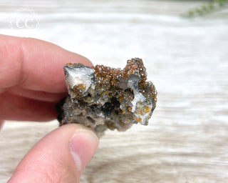 Vanadinite on Black Baryte #7