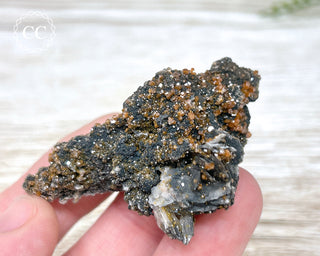 Vanadinite on Black Baryte #8