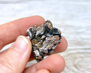 Vanadinite on Black Baryte #13