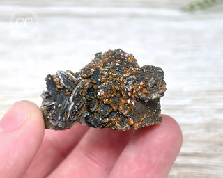 Vanadinite on Black Baryte #8