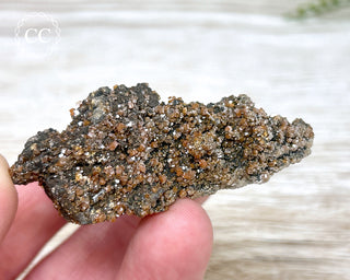 Vanadinite on Black Baryte #8