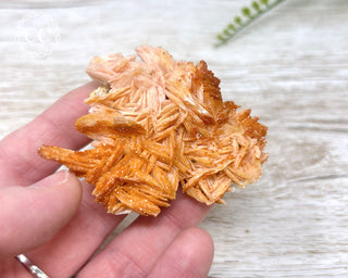 Vanadinite Specimen #13