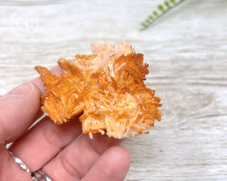 Vanadinite Specimen #13