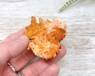 Vanadinite Specimen #13