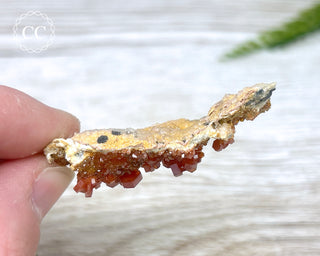 Vanadinite Specimen #8