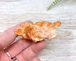 Vanadinite Specimen #13