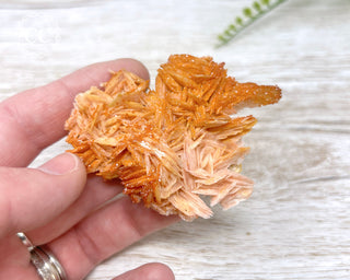 Vanadinite Specimen #13