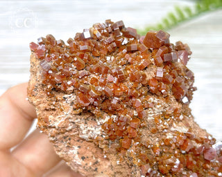 Vanadinite Specimen #1