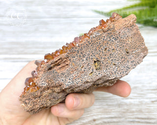 Vanadinite Specimen #4