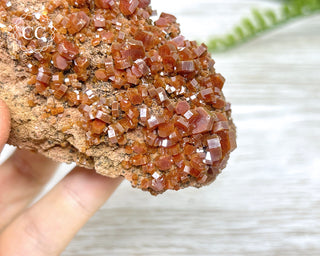 Vanadinite Specimen #1