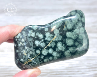 Variolite Polished #1