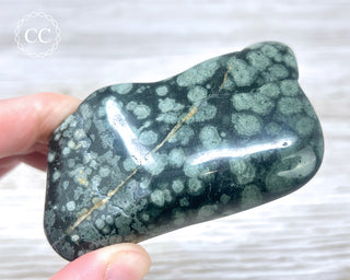 Variolite Polished #1
