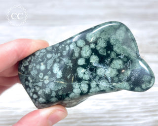Variolite Polished #1
