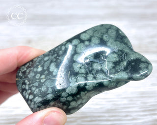 Variolite Polished #1