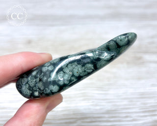 Variolite Polished #1