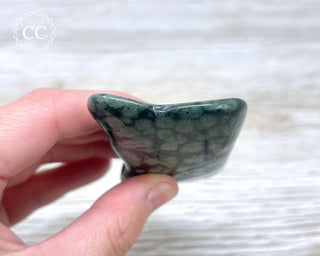 Variolite Polished #1