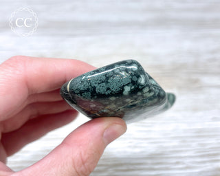 Variolite Polished #1