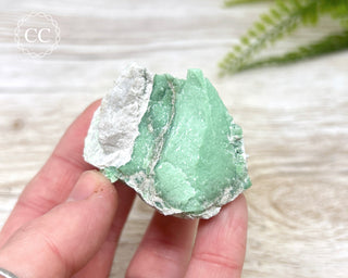 Variscite Specimen #4